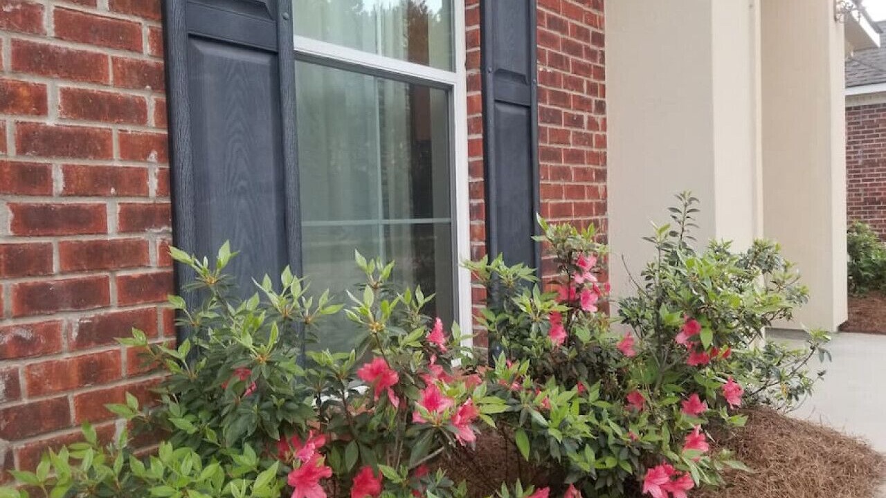 Photo of Outdoor in Pine Grove