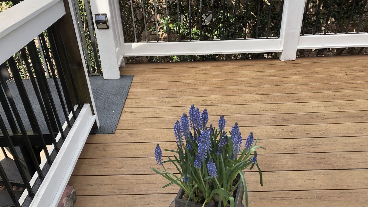 Photo of Outdoor in Audubon