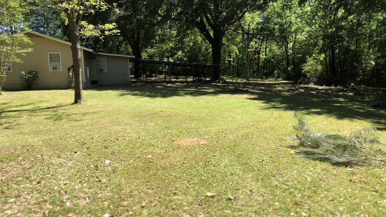 Photo of Outdoor in Milam