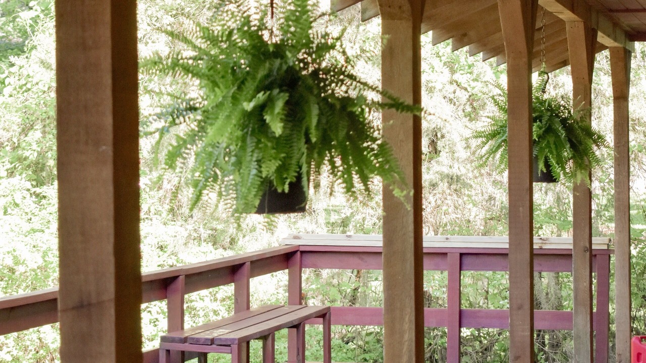 Photo of Patio Balcony in Uncertain