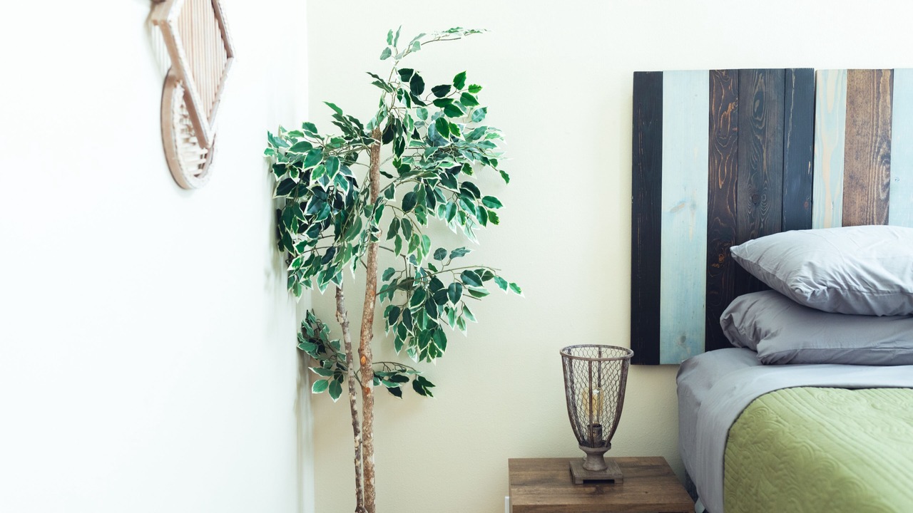 Photo of Bedroom in Riverside Terrace
