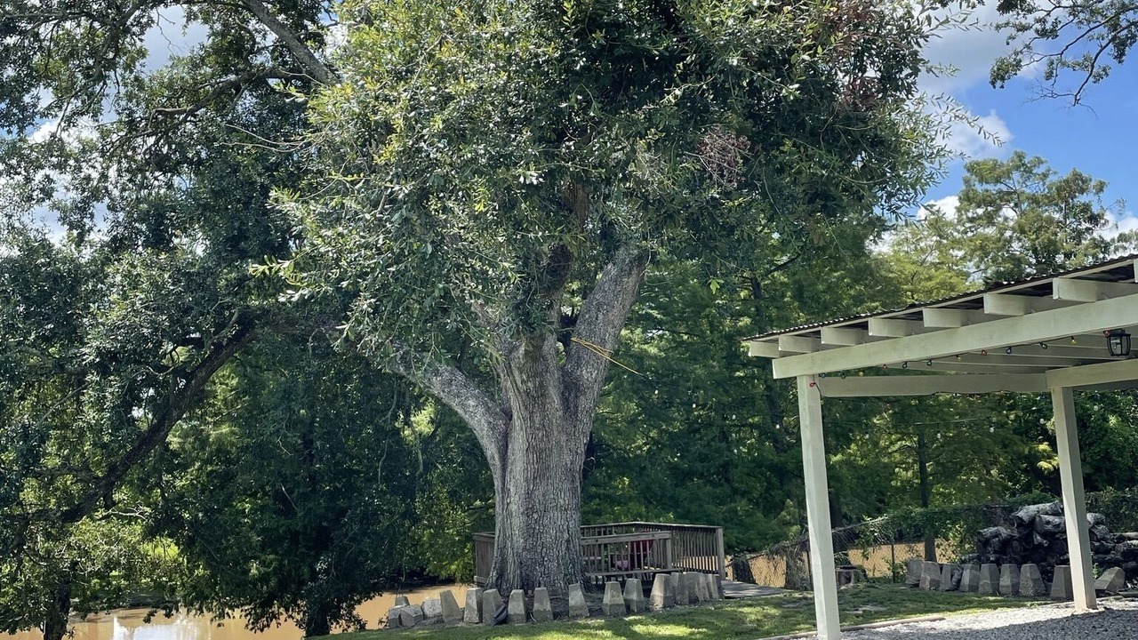Photo of Outdoor in Breaux Bridge