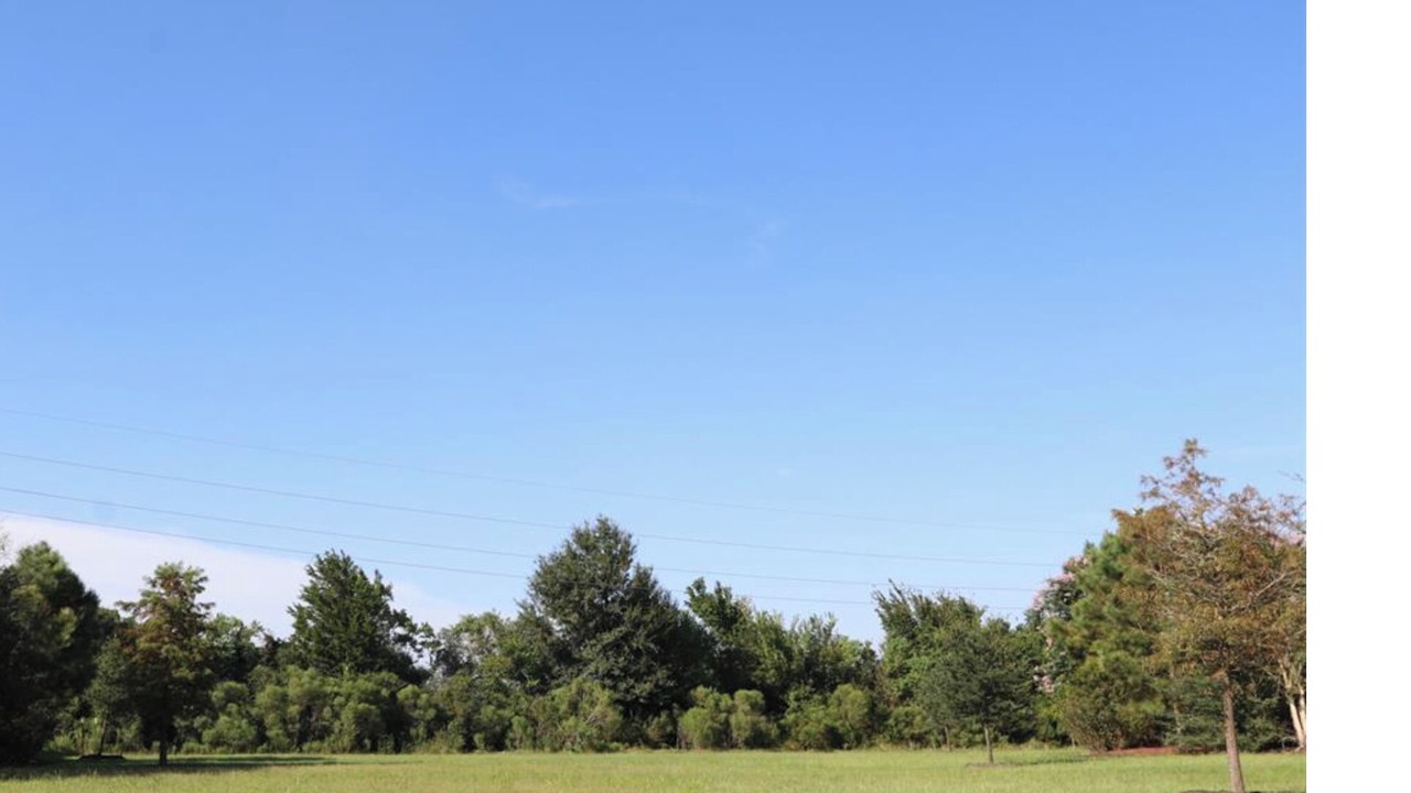 Photo of Others in Barker