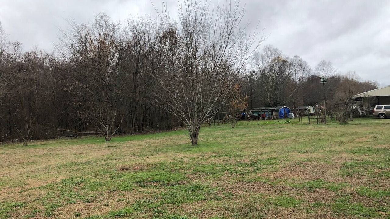 Photo of Outdoor in Natchez