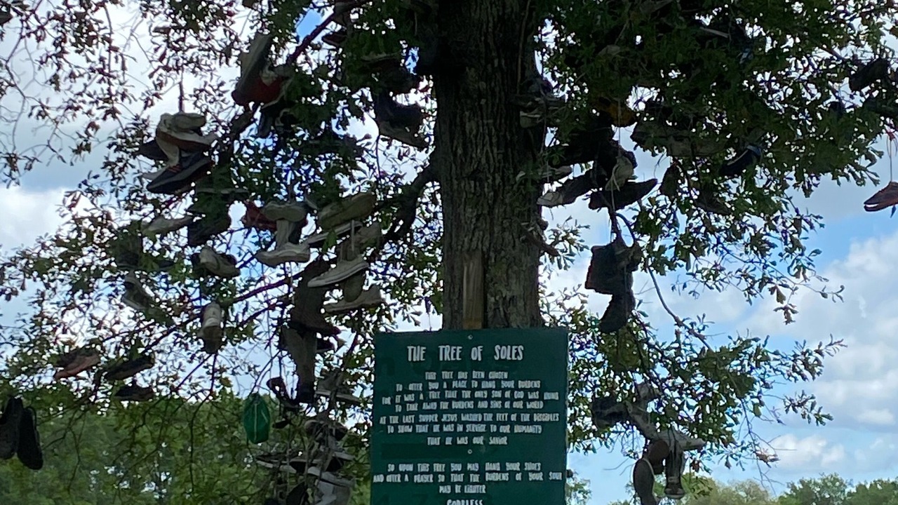 Photo of Others in Scott