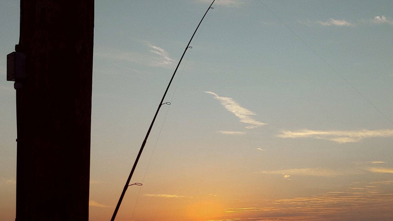 Photo of Others in Grand Isle