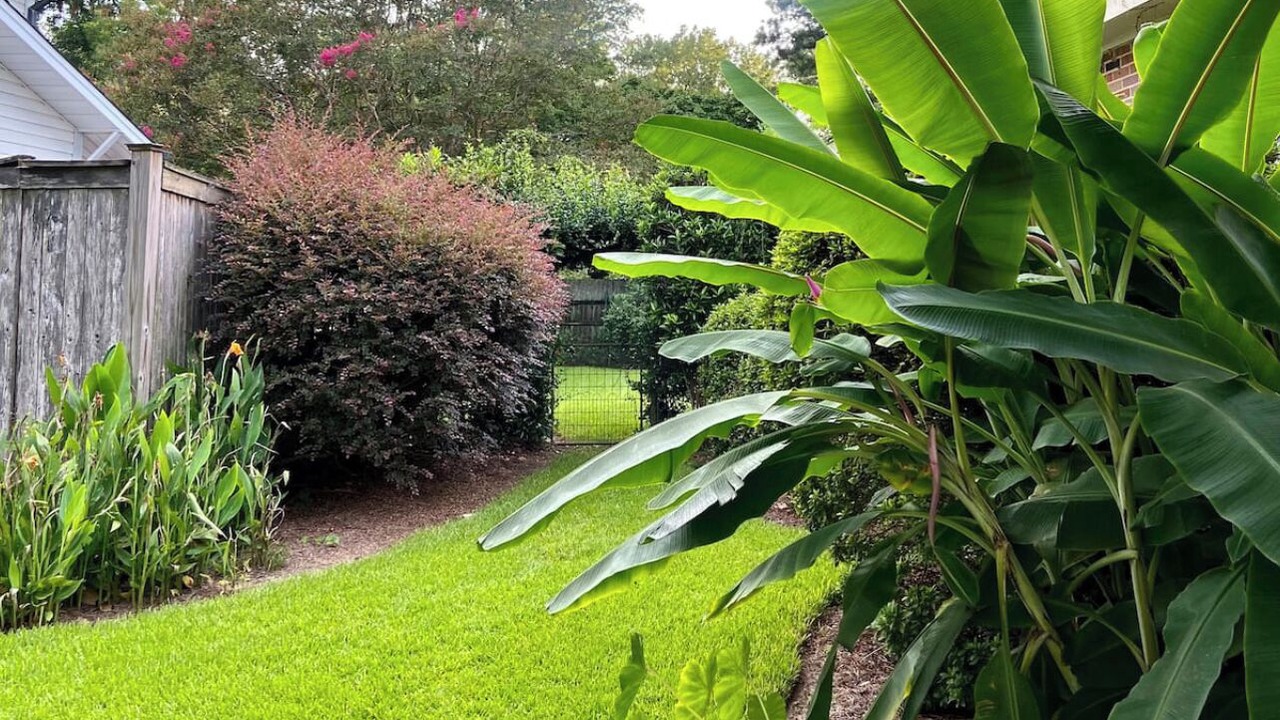 Photo of Outdoor in Monroe