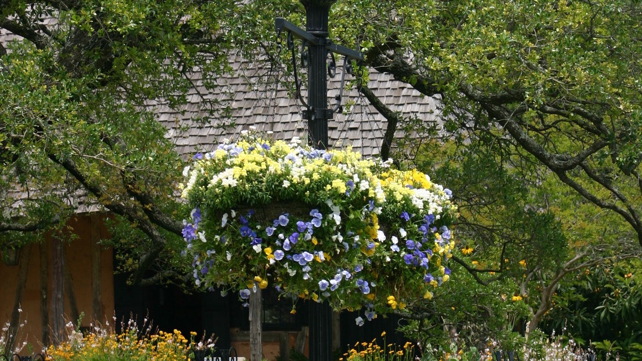 Photo of Outdoor in Natchitoches