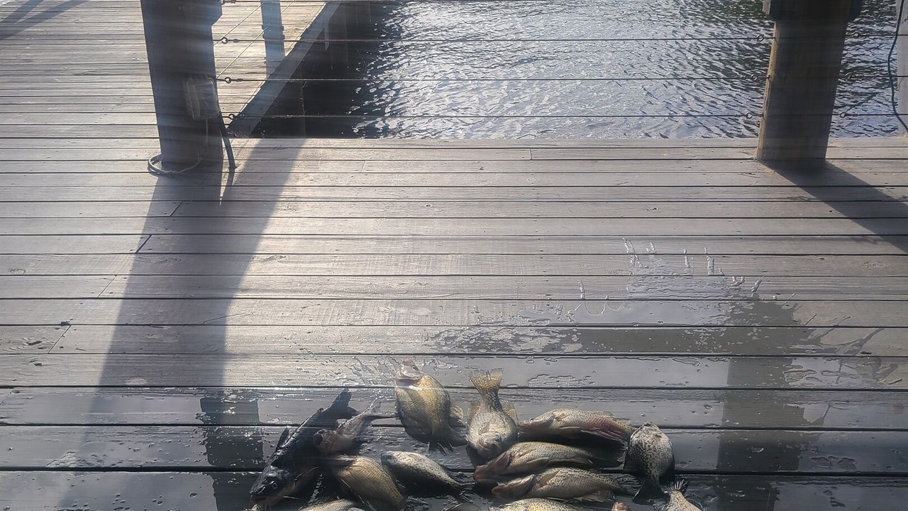 Photo of Outdoor in Zwolle