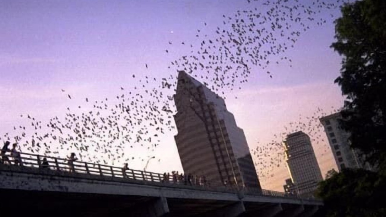 Photo of Others in South River City