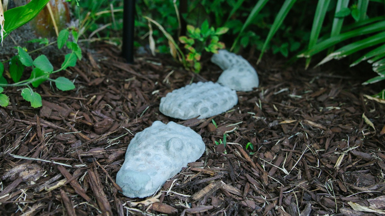 Photo of Outdoor in McDonough