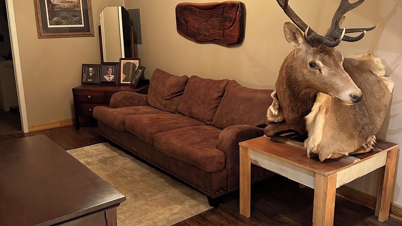 Photo of Livingroom in Houma