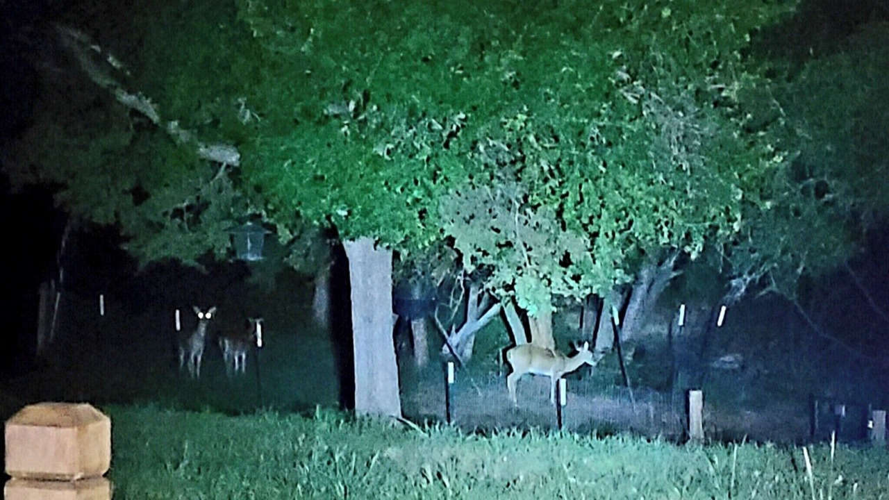 Photo of Others in Glen Rose