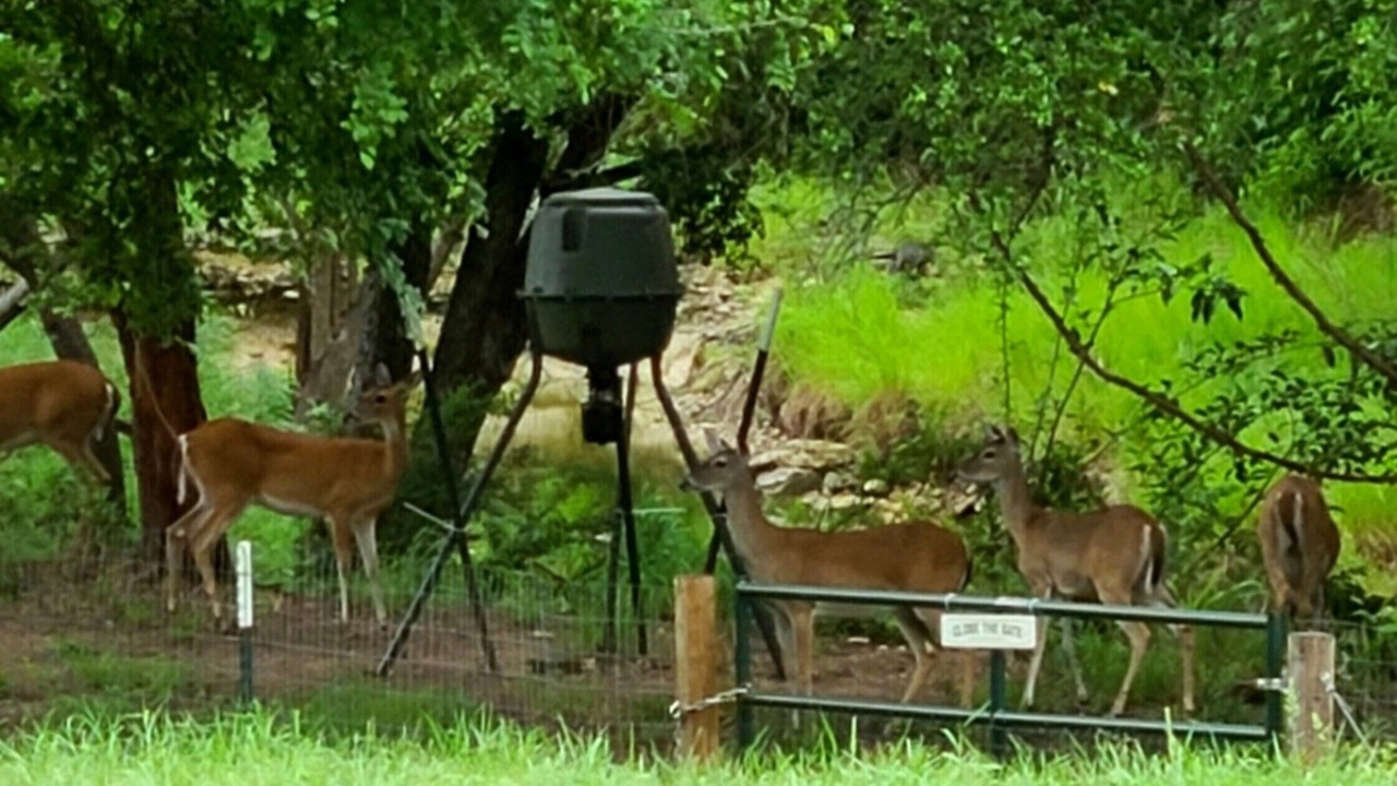 Photo of Others in Glen Rose