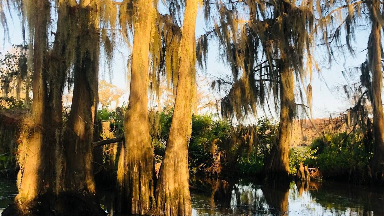 Photo of Outdoor in Oil City