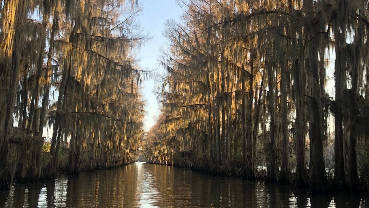 Photo of Outdoor in Oil City