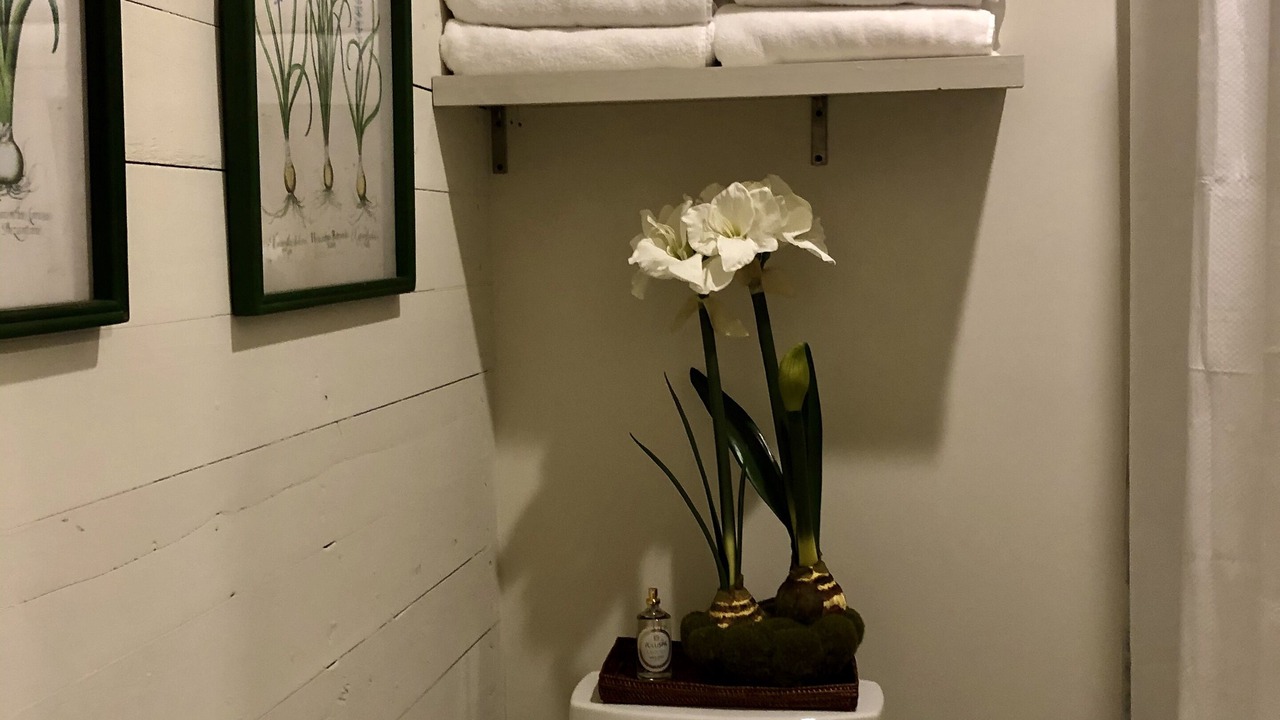 Photo of Bathroom in Mid City South