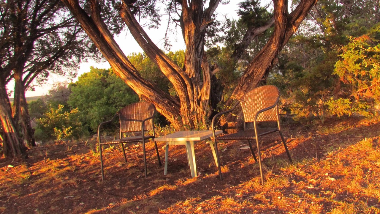 Photo of Outdoor in Glen Rose