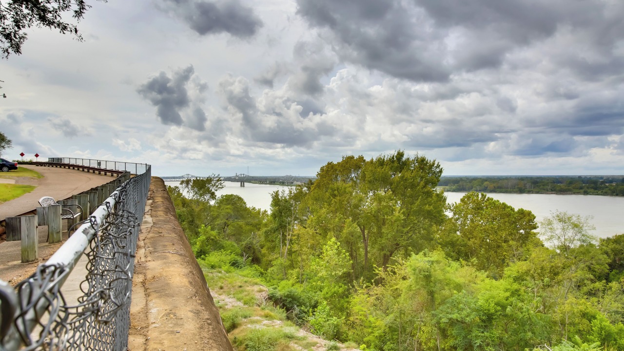 Photo of Others in Natchez