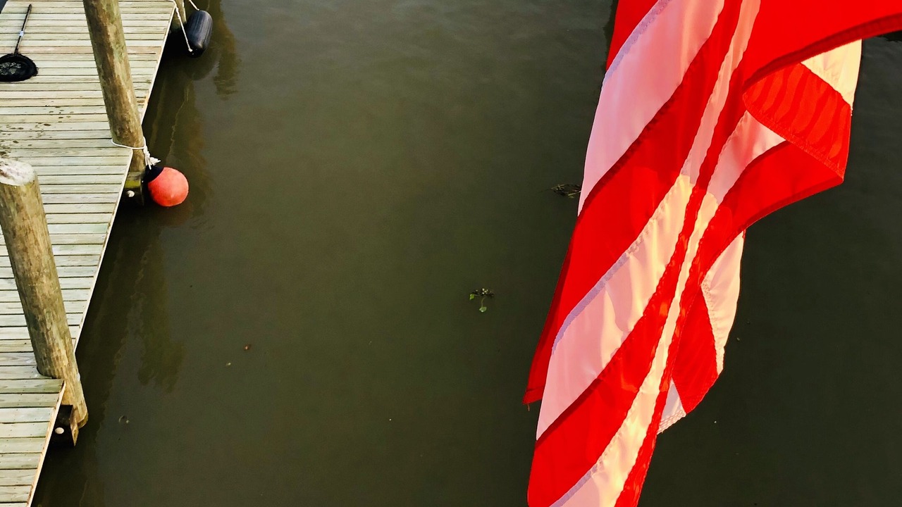 Photo of Others in Venice