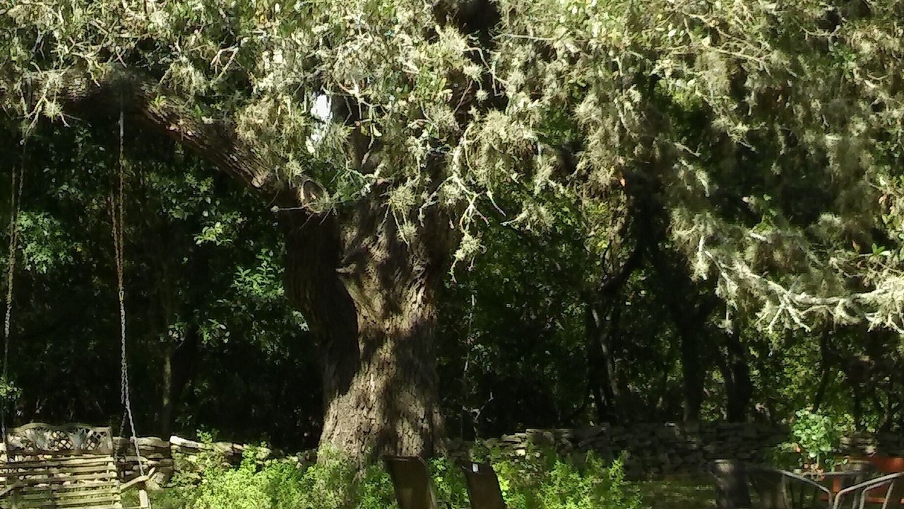 Photo of Others in Dripping Springs