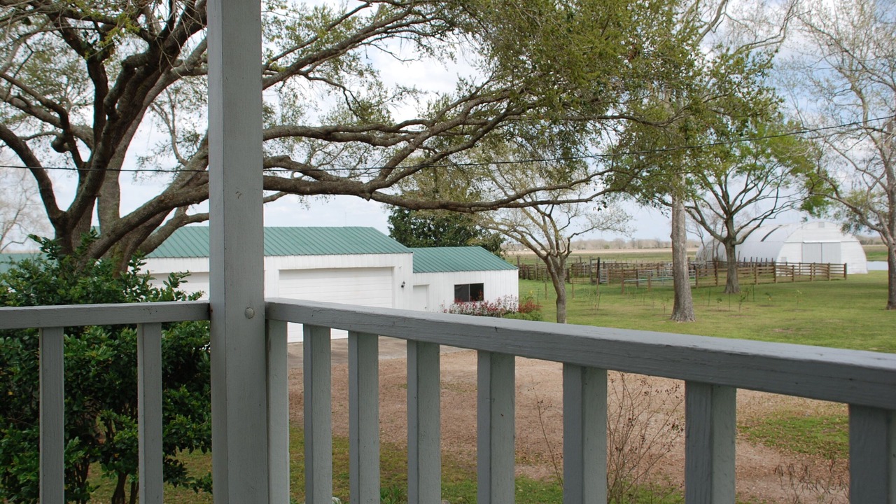 Photo of Outdoor in Damon