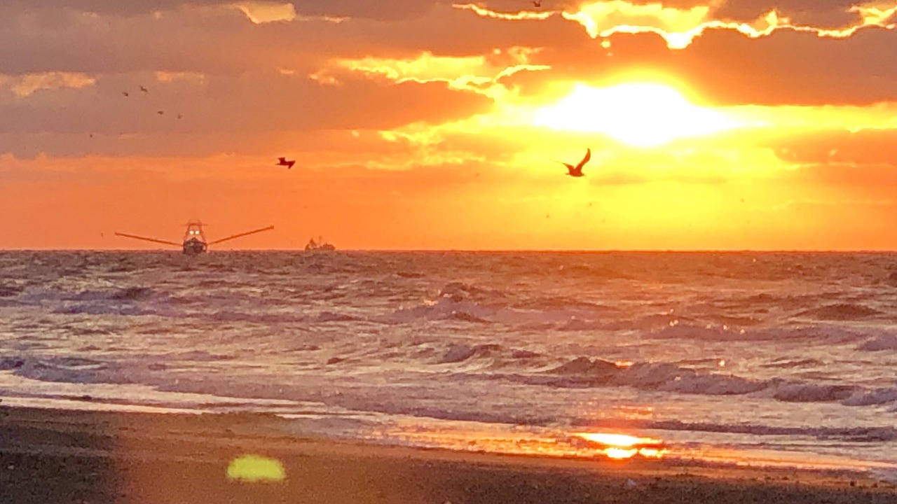 Photo of Others in Grand Isle
