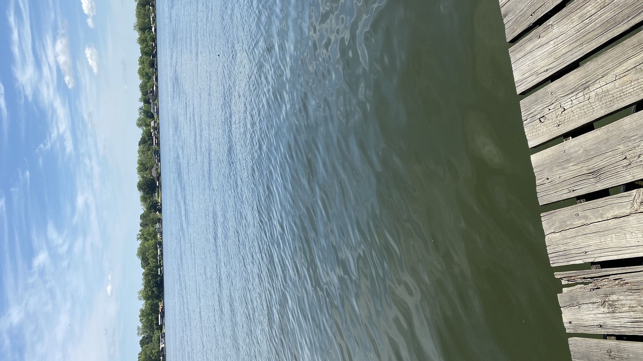 Photo of Others in Torbert