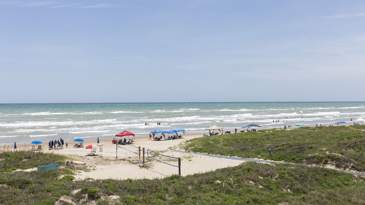 Photo of Others in South Padre Island