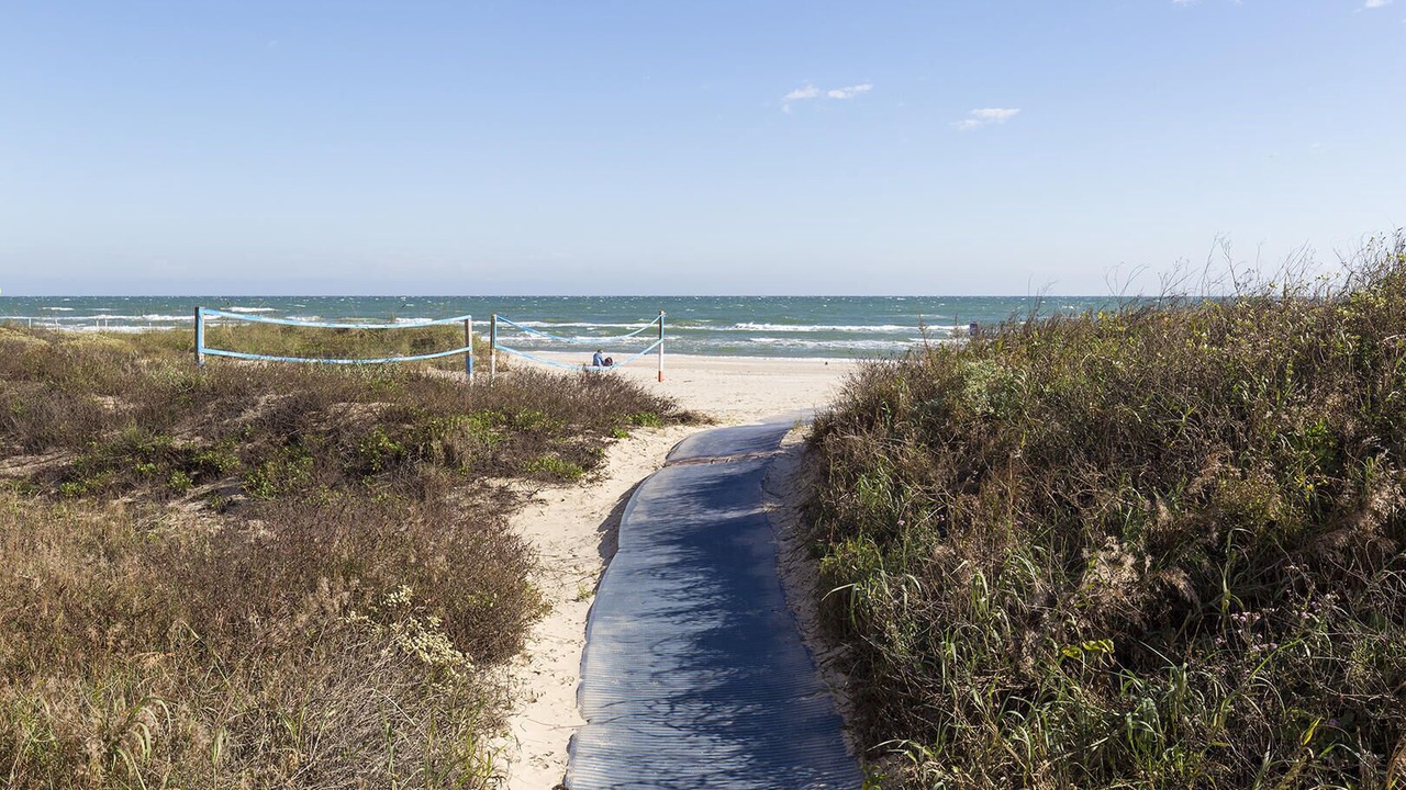 Photo of Others in South Padre Island
