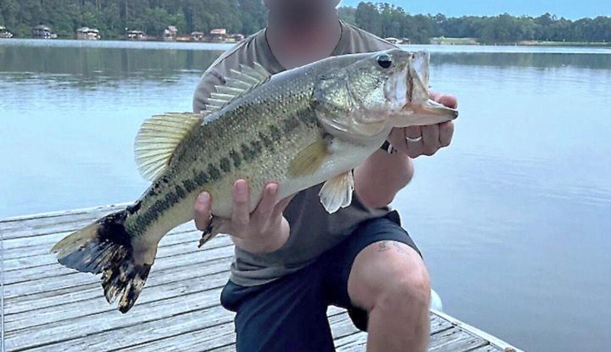 Photo of Outdoor in Holly Lake Ranch