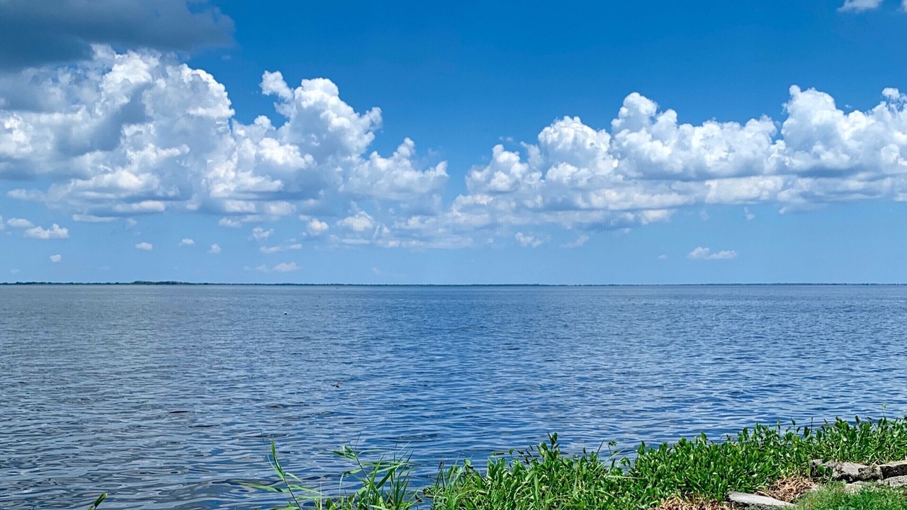 Photo of Others in Lafitte