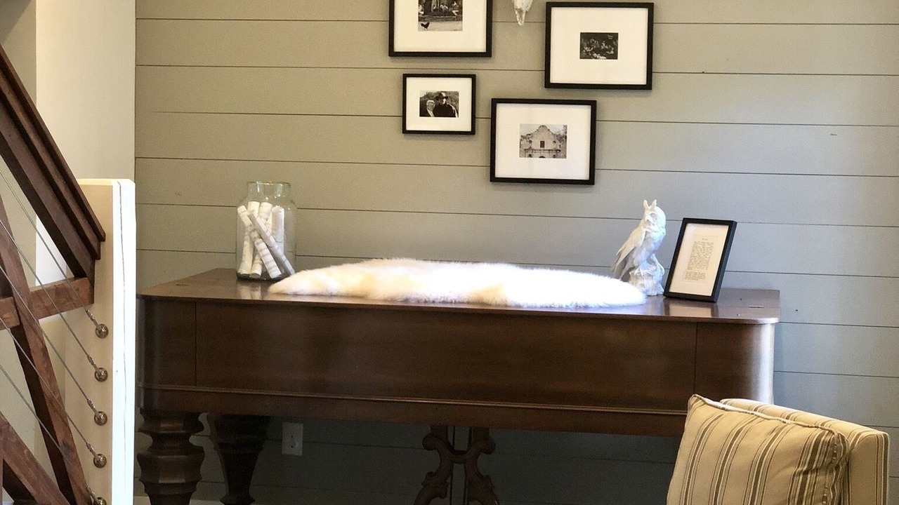 Photo of Bedroom in Comfort