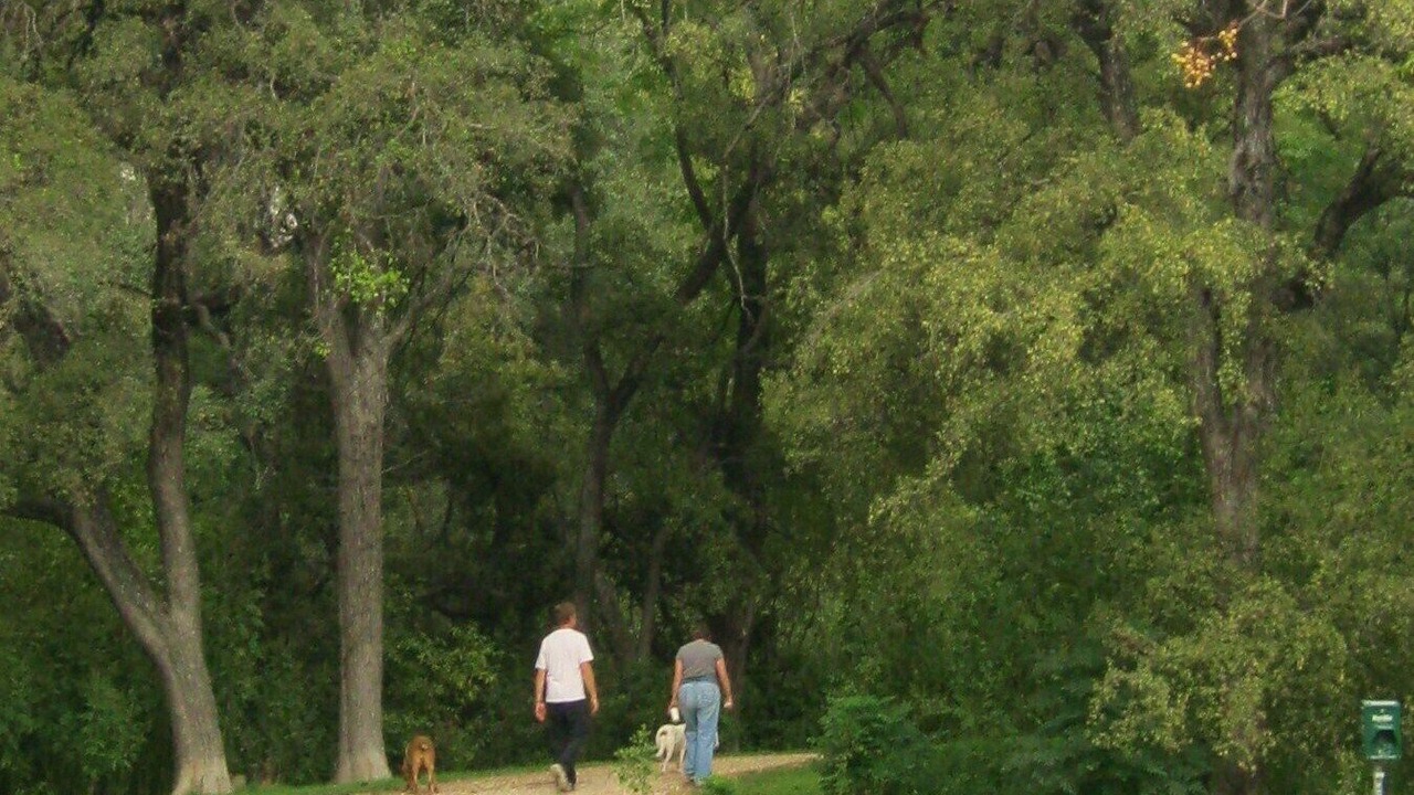 Photo of Others in Oakmont Heights