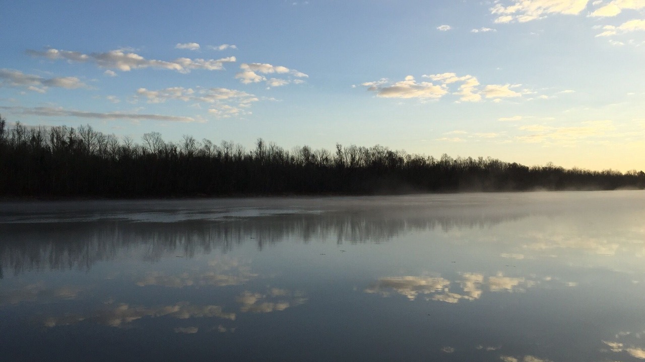 Photo of Others in Atchafalaya