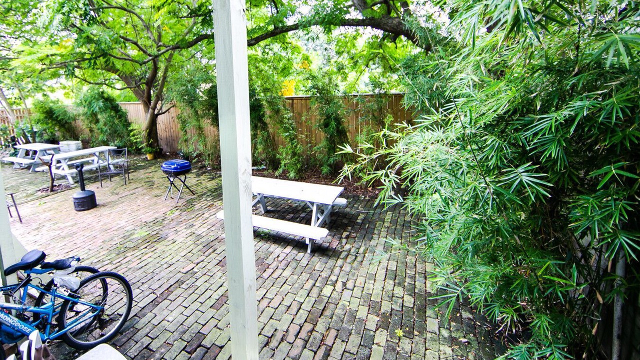 Photo of Outdoor in New Orleans