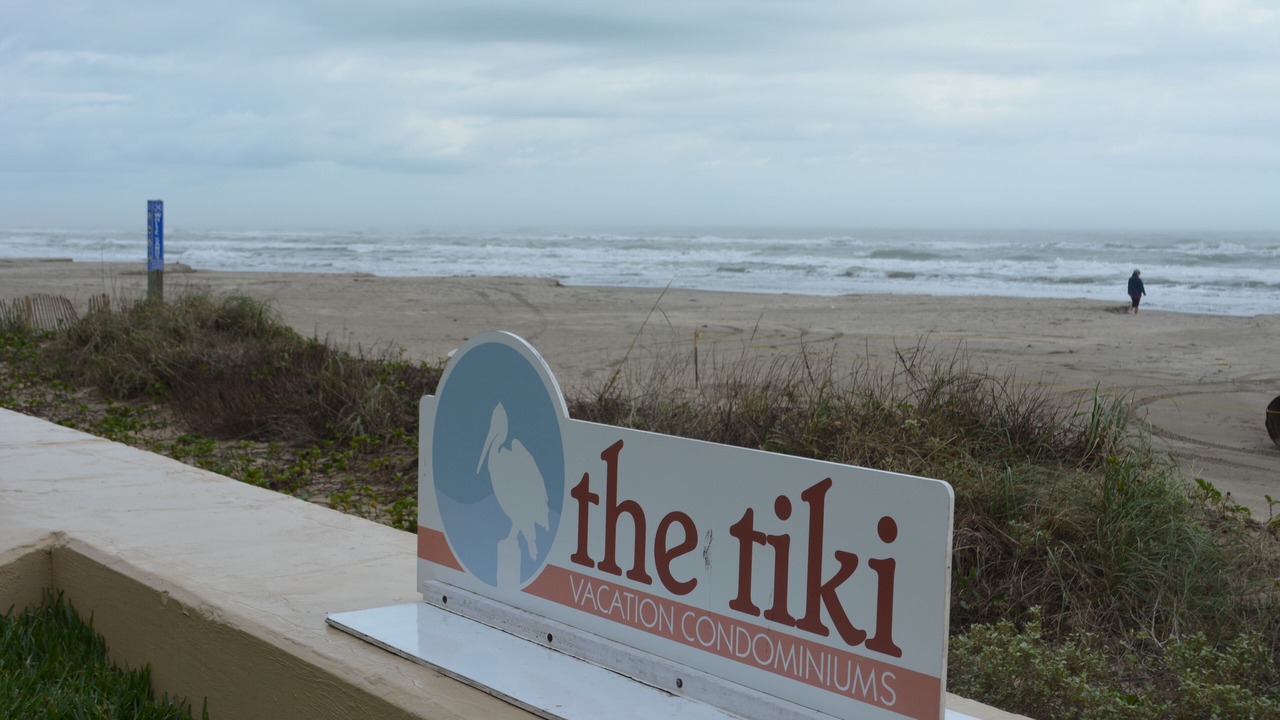 Photo of Others in South Padre Island