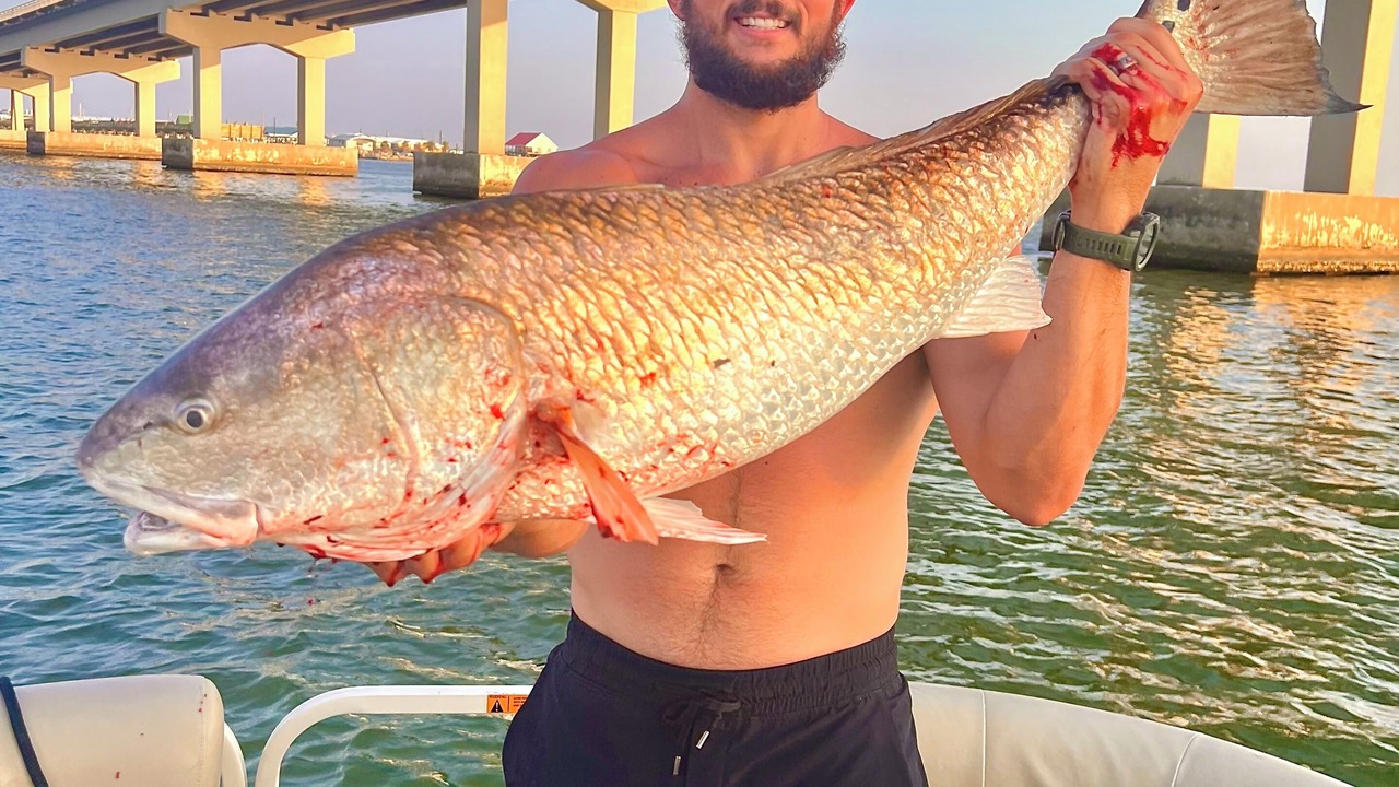 Photo of Others in Grand Isle