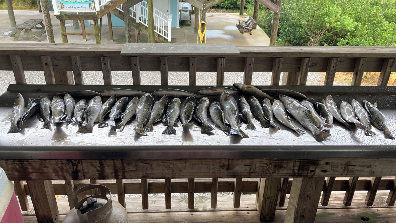Photo of Others in Grand Isle