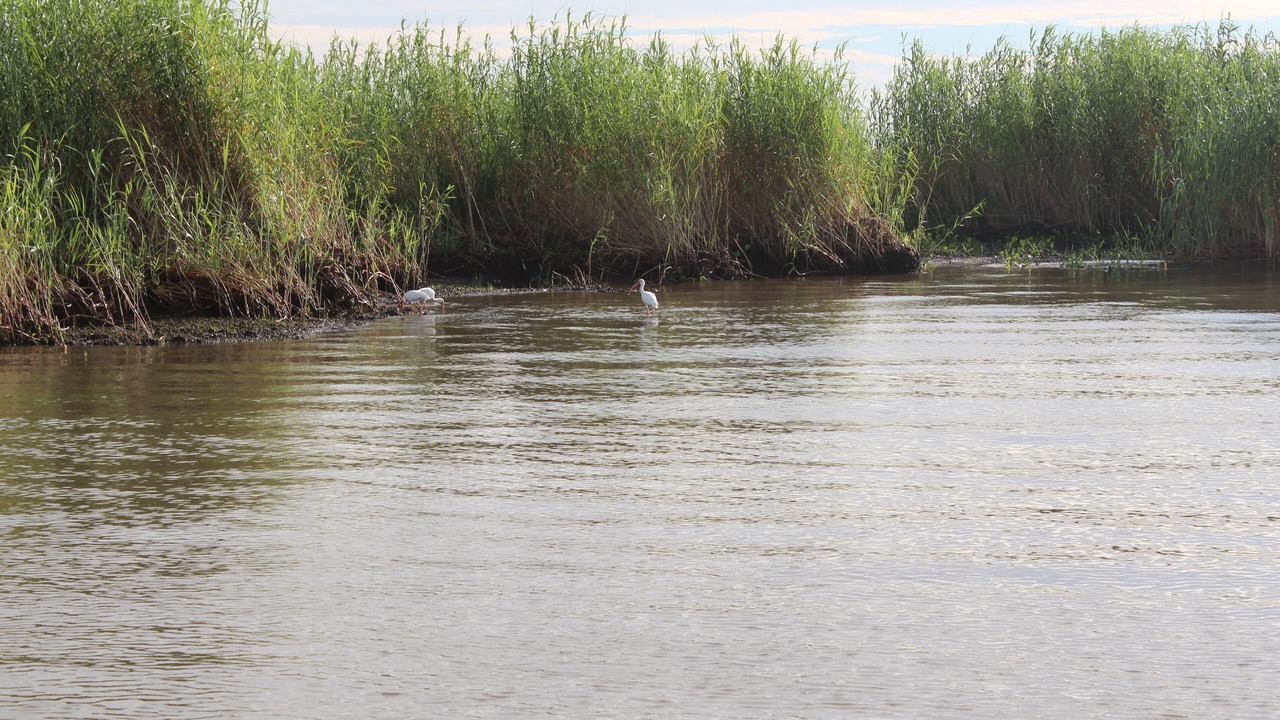Photo of Others in Dulac
