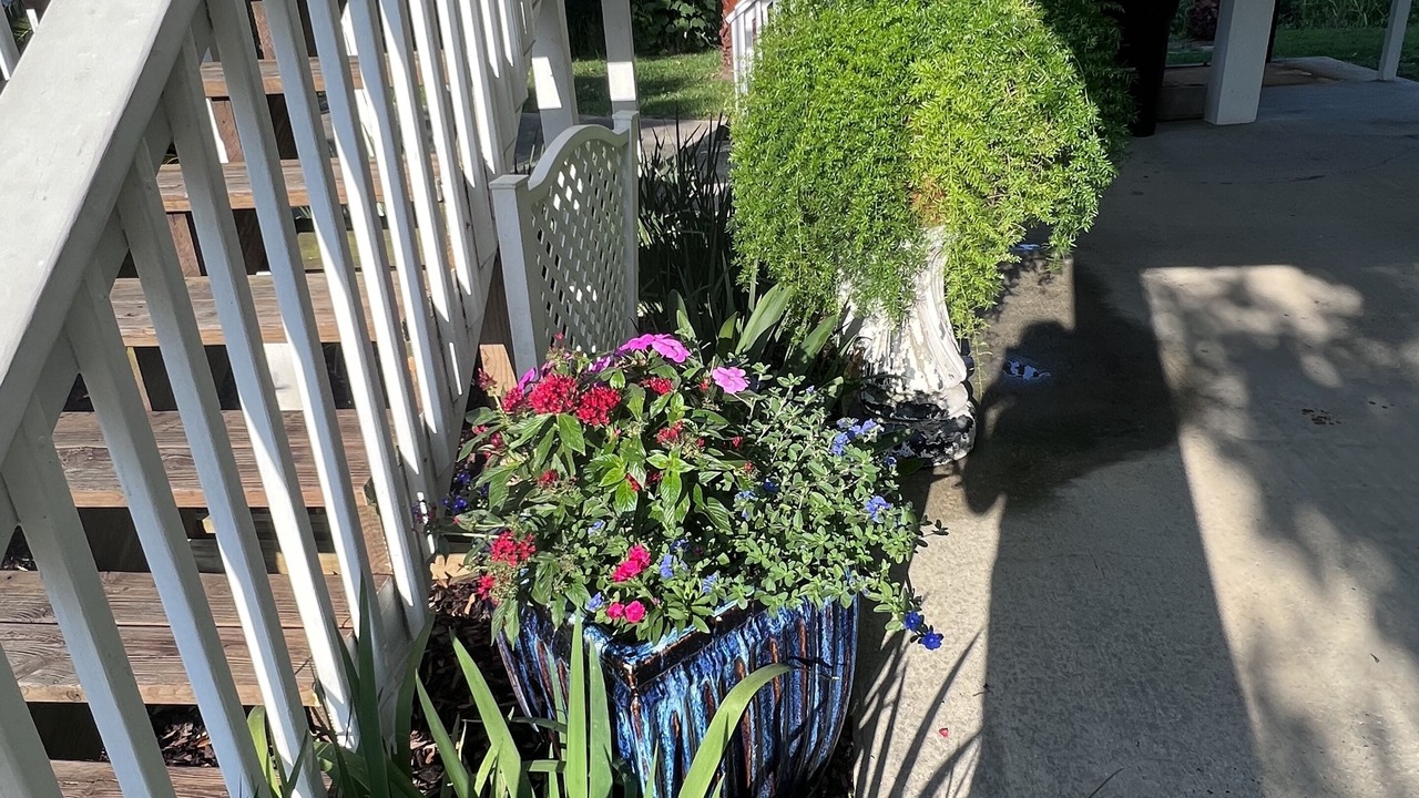 Photo of Outdoor in Pass Christian