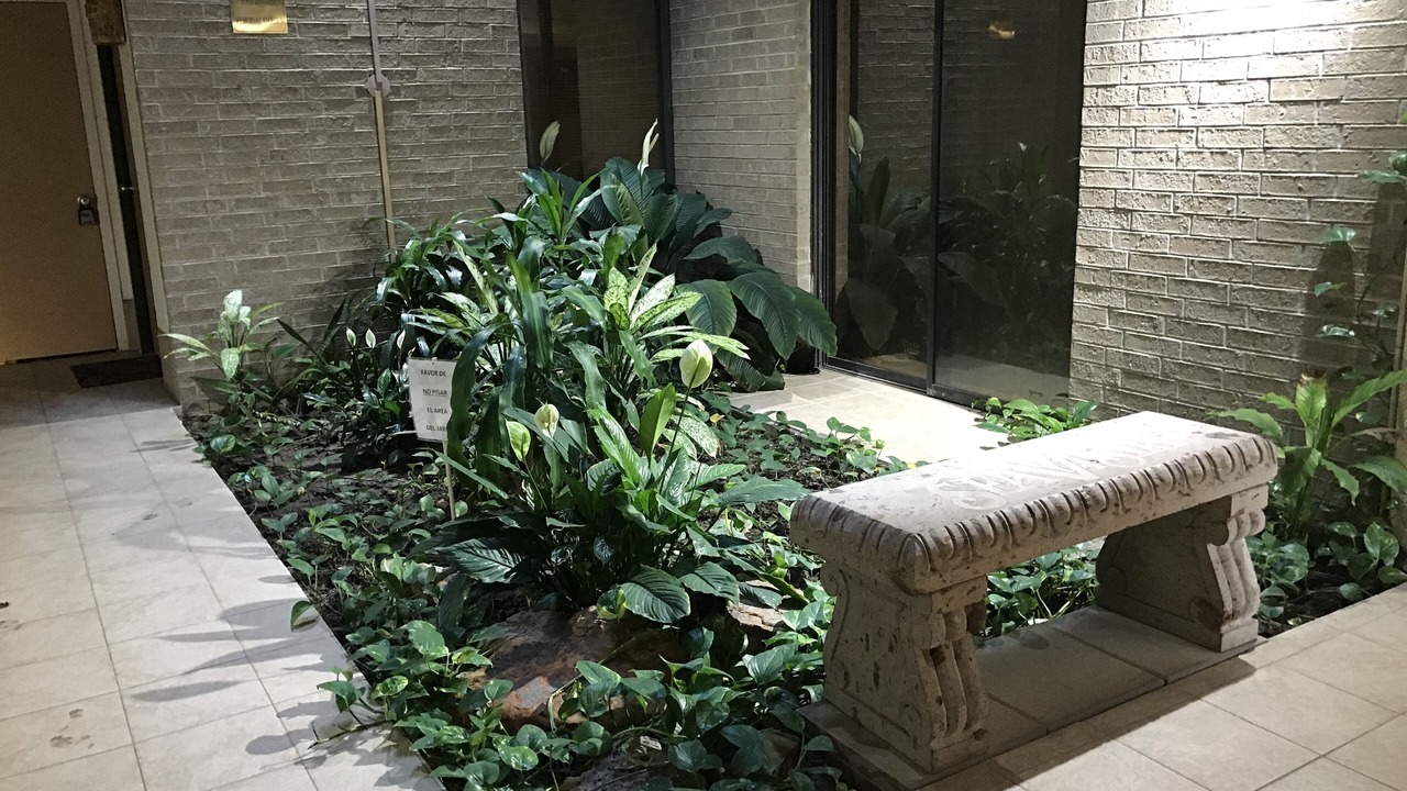 Photo of Patio Balcony in South Padre Island
