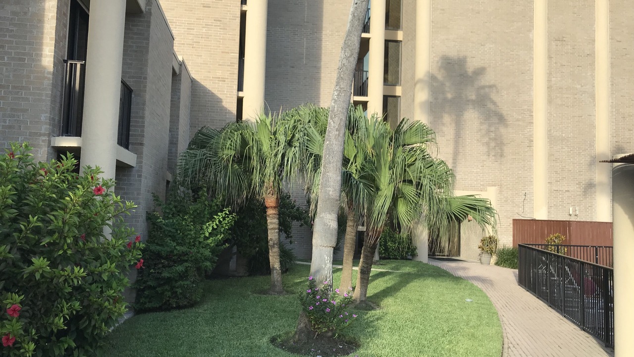 Photo of Outdoor in South Padre Island