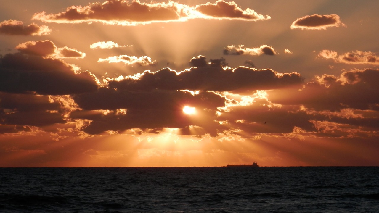 Photo of Others in South Padre Island