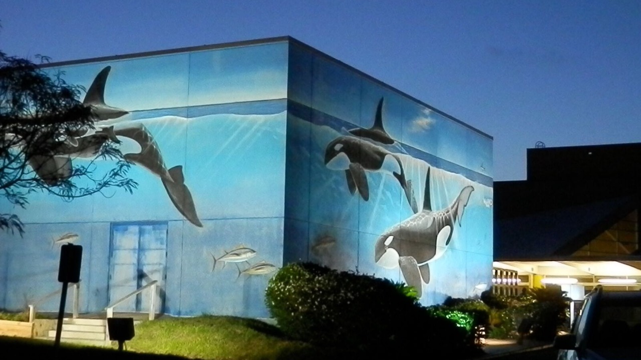Photo of Outdoor in South Padre Island