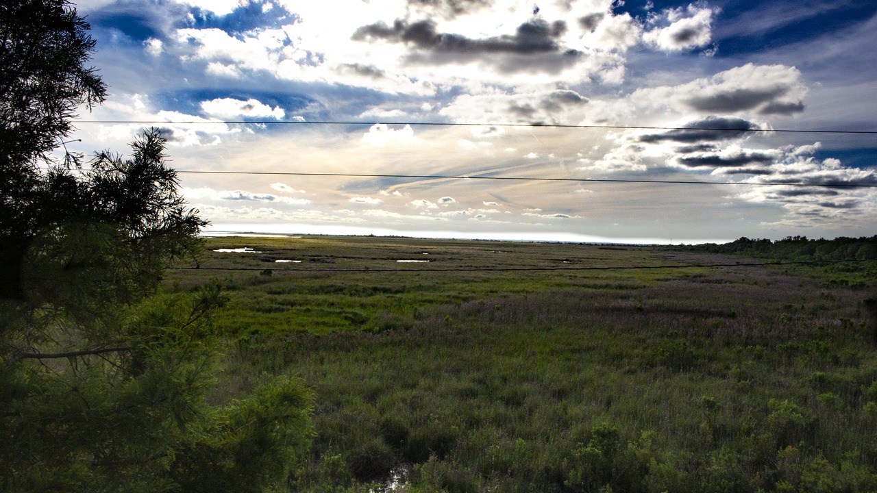 Photo of Others in Hopedale