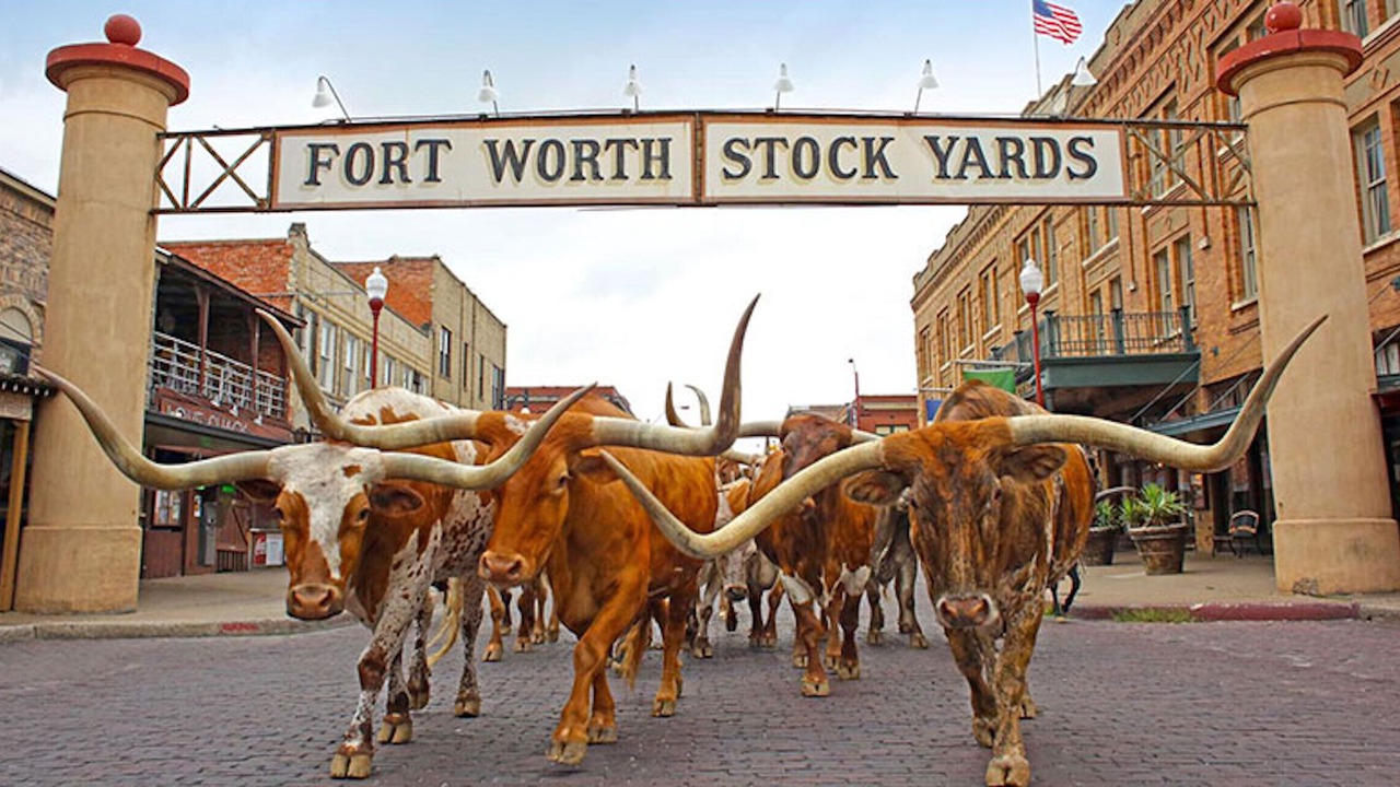 Photo of Others in Haltom City