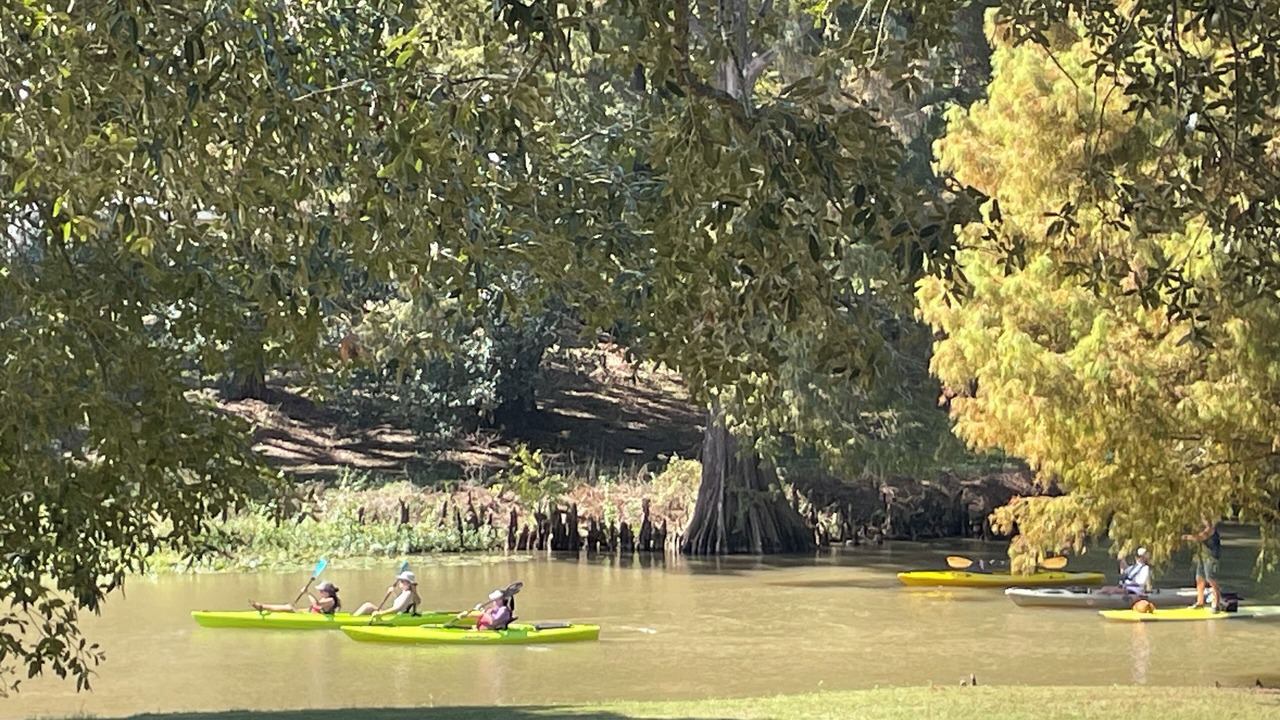 Photo of Others in Breaux Bridge