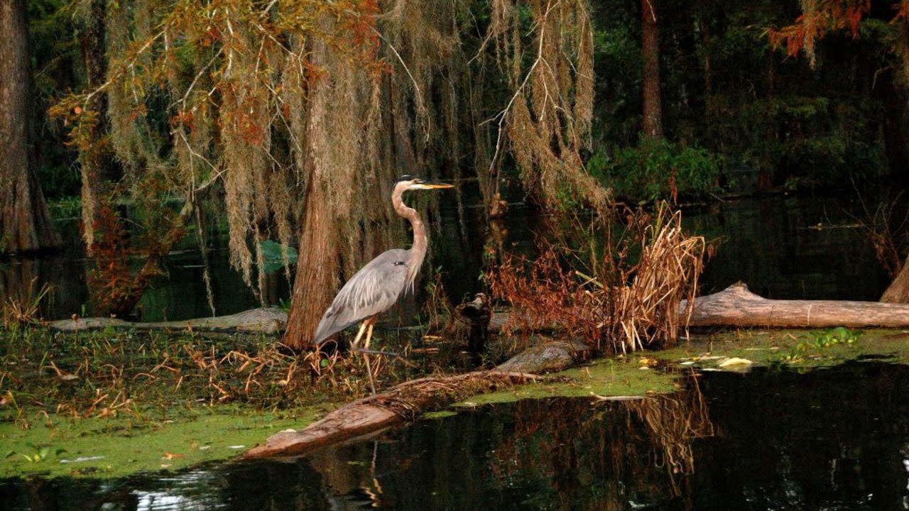 Photo of Outdoor in Lafayette
