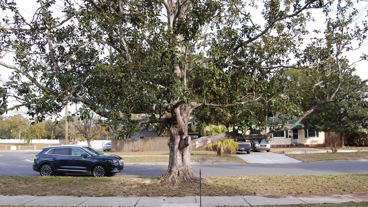 Photo of Others in Biloxi